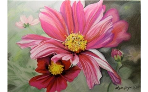 Workshop - The Artist/Leisure Painter: Expressive Flowers in Pastel Pencils & Pastels with Angela Gaughan