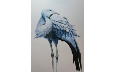 In store demonstration: Dolphin Arts- Wantage