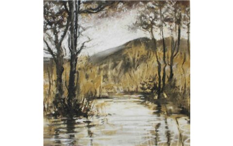 Workshop - The Artist/Leisure Painter: Loose and Expressive Landscapes with David Winning