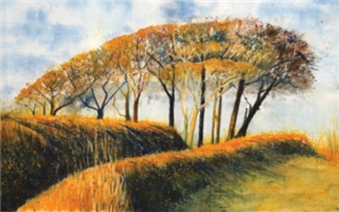 In store demonstration: Cornwall Arts- Truro