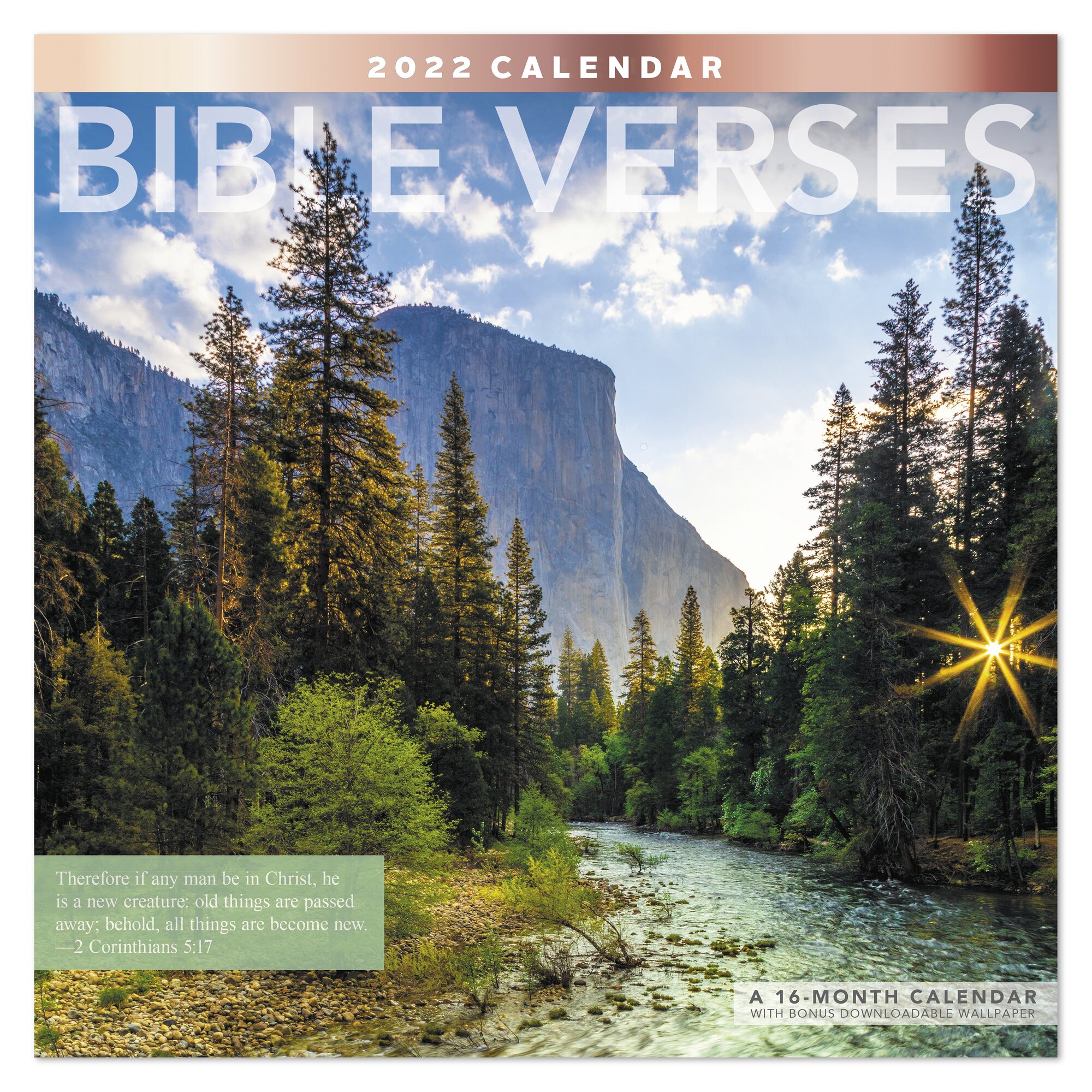 BIBLE VERSES 2022 Monthly Wall Calendar 12 x 12 Wall Calendars £14.48