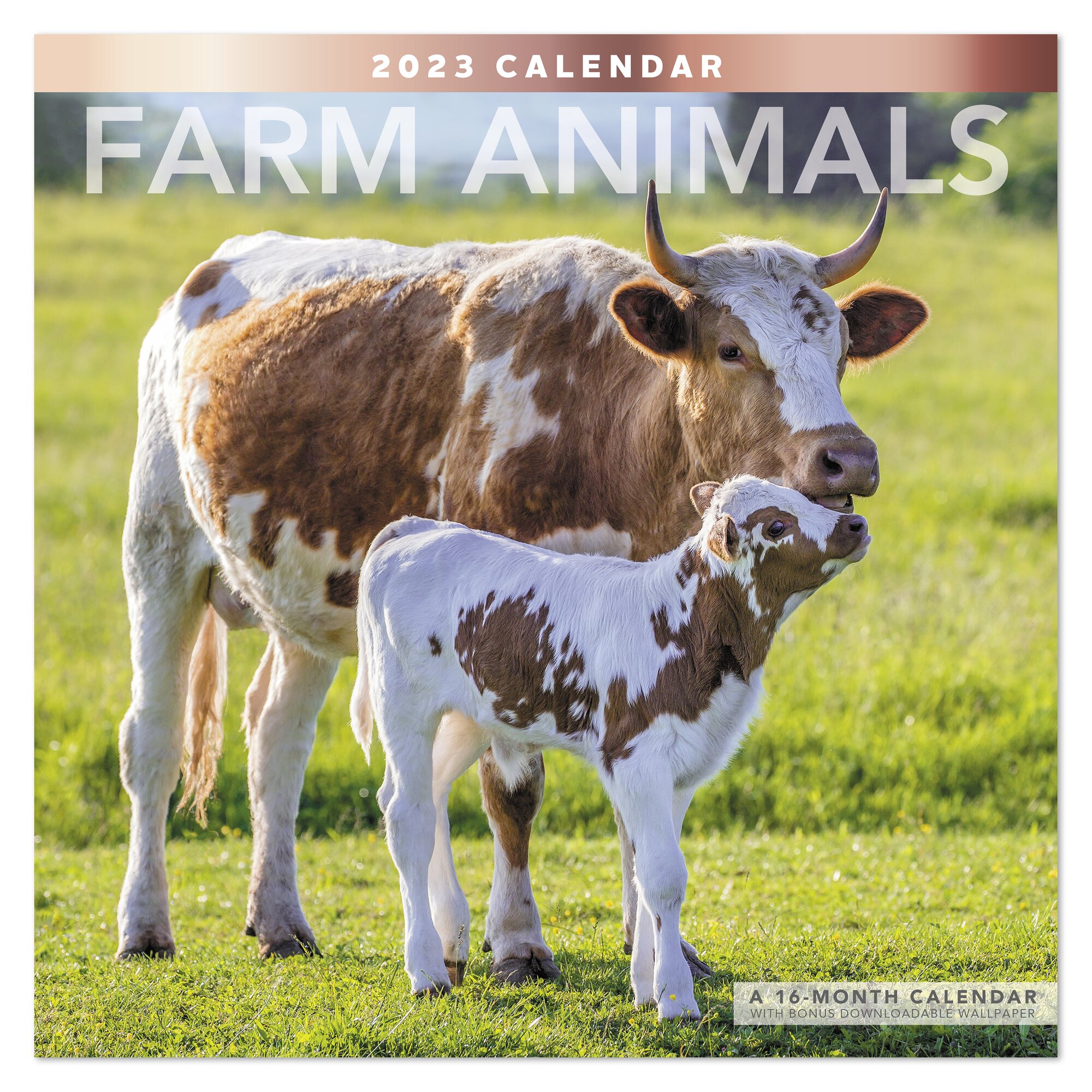 FARM ANIMALS 2023 Monthly Wall Calendar 12 x 12 - Wall Calendars $16.00