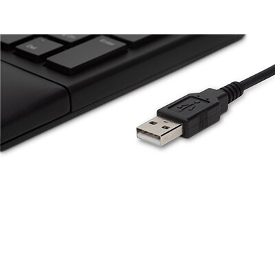 Plug & Play USB Connection