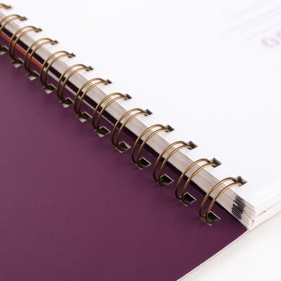 Cambridge Sundance 2024 Weekly Monthly Appointment Book, Purple, Large ...