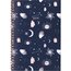 Cambridge Fortune Teller Weekly Monthly Planner, Small