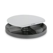 SmartFit™ Spin2™ Monitor Stand — Gray