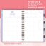 Ivory Ella Mandala Academic Weekly Monthly Planner, Small