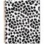 Cambridge Dab Weekly Monthly Planner, Large