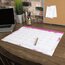 Cambridge Anastasia Monthly Desk Pad Calendar