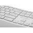 Teclado Ergonômico Pro Fit™ sem Fio - Cinza thumbnail images 5 of 10
