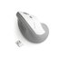 Mouse Vertical Pro Fit™ Gris Inalámbrico thumbnail images 1 of 8