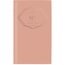 Cambridge WorkStyle Coral Gem Academic 2 Year Monthly Planner