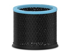 DuPont Replacement Carbon for TruSens Medium Allergy & Flu Filter, 1 Pack