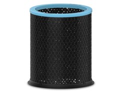 DuPont Replacement Carbon for TruSens Large Allergy & Flu Filter, 1 Pack