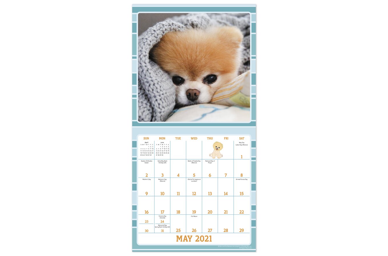Boo The World S Cutest Dog Monthly Wall Calendars Wall Calendars Mead boo the dog calendar 2021