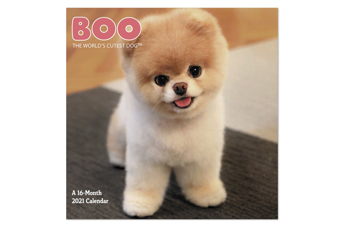 Boo The World S Cutest Dog Monthly Wall Calendars Wall Calendars Mead