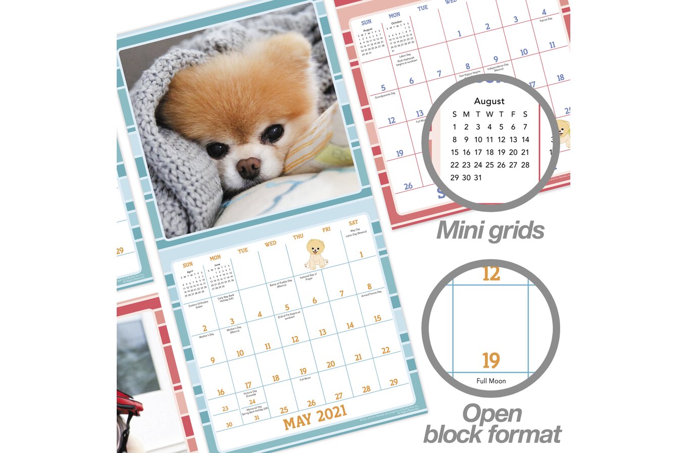 Boo The World S Cutest Dog Monthly Wall Calendars Wall Calendars Mead boo the dog calendar 2021