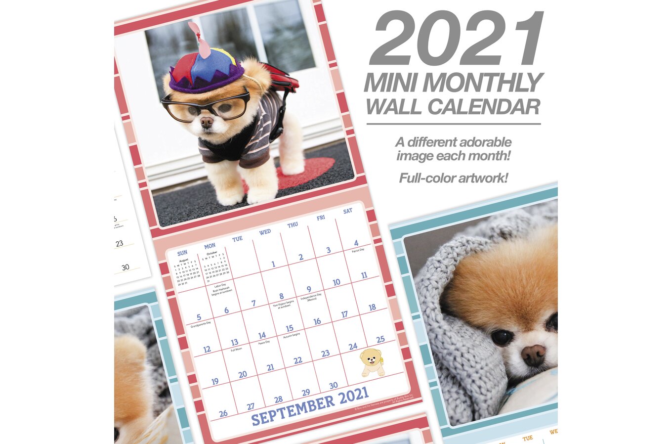 boo the dog calendar 2021 Boo The World S Cutest Dog Monthly Wall Calendars Wall Calendars Mead boo the dog calendar 2021