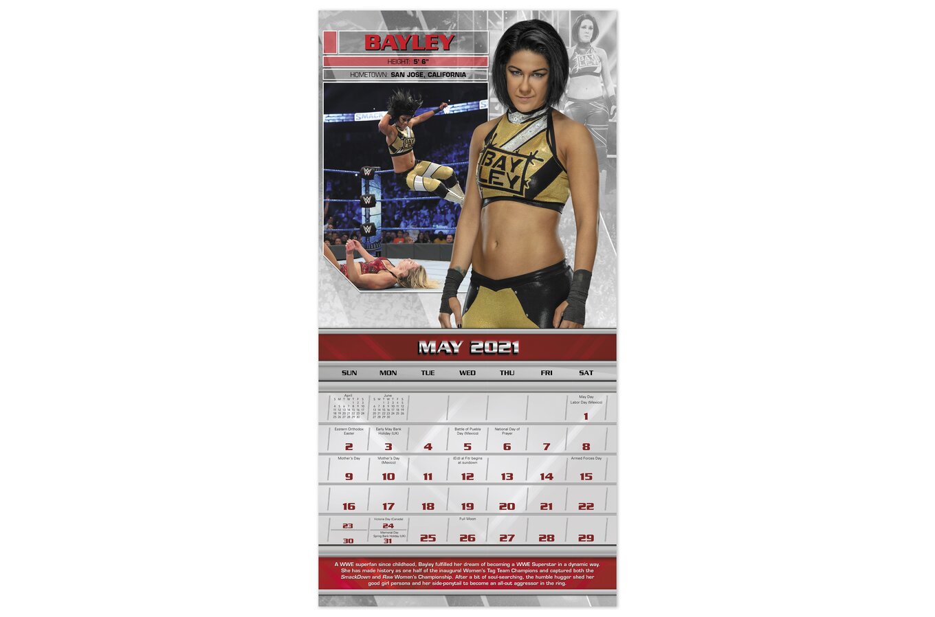 Wwe Monthly Wall Calendars Wall Calendars Mead wwe 2021 wall calendar miz