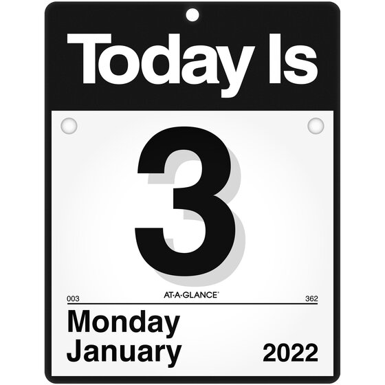 AT-A-GLANCE 2022 "Today Is" Daily Wall Calendar, Small, 9 1/2" x 12