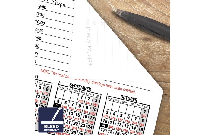 At-A-Glance Burkhart's Day Counter 2022 Daily Loose-Leaf Desk Calendar Refill, Large, 4 1/2" X 7 1/2" | Desk Calendar Refills & Bases | At-A-Glance