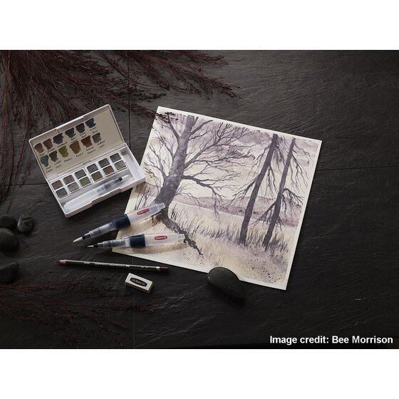 Derwent Graphitint - Set Aquarelle Graphite 12 Demi-Godets - Peinture Paysage Professionnelle