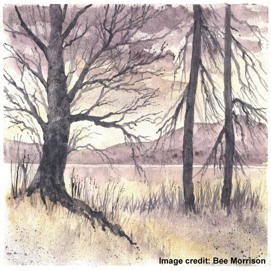 Aquarelles Derwent Graphitint - 12 Demi-godets - Effets Graphite Et Pigments - Qualité Pro