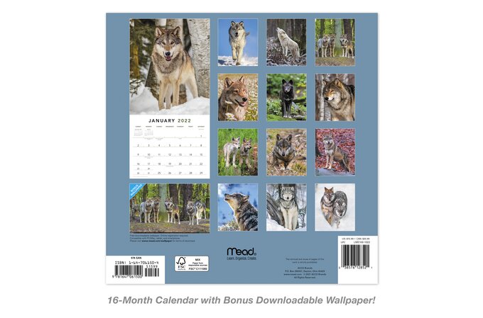 Wolves 2022 Monthly Wall Calendar, 12" X 12" | Wall Calendars | Mead