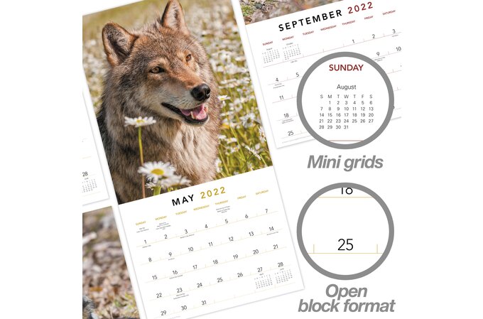 Wolves 2022 Monthly Wall Calendar, 12" X 12" | Wall Calendars | Mead