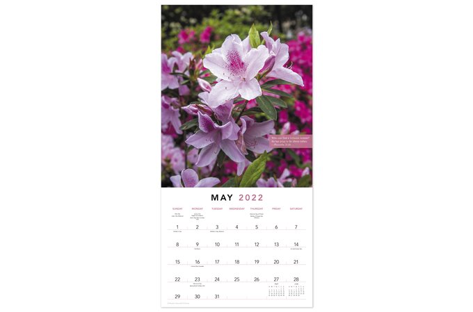 Bible Verses 2022 Monthly Wall Calendar, 12" X 12" | Wall Calendars | Mead