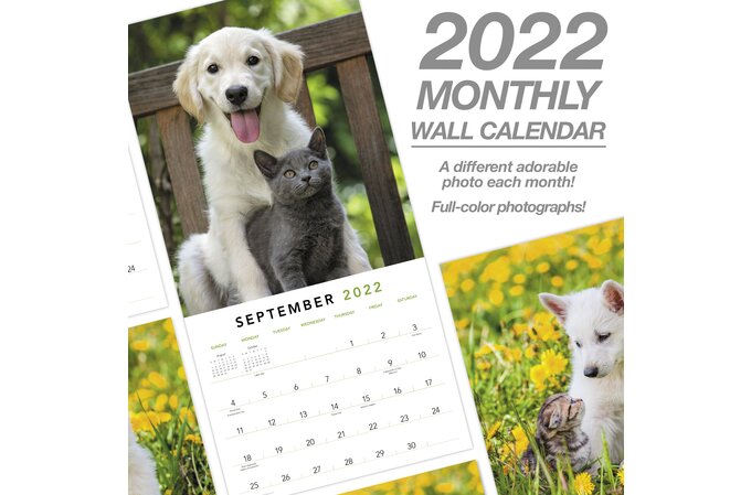 pens-and-paws-calendar-2022-january-calendar-2022