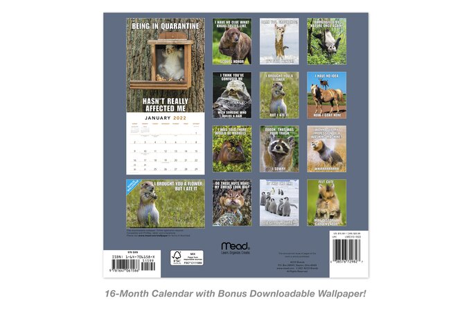 Animal Memes 2022 Monthly Wall Calendar, 12" X 12" | Wall Calendars | Mead