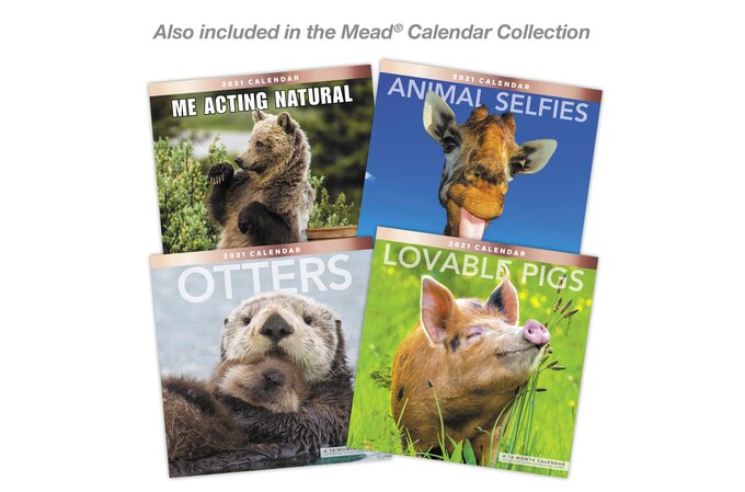 Animal Memes 2022 Monthly Wall Calendar, 12" x 12" | Wall Calendars | Mead