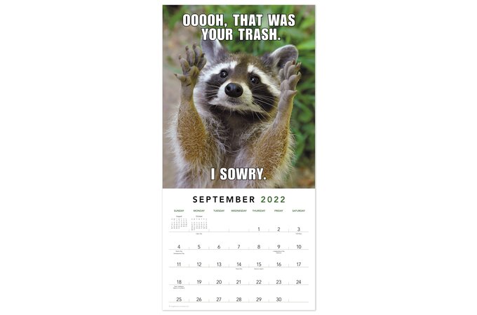 Animal Memes 2022 Monthly Wall Calendar, 12" X 12" | Wall Calendars | Mead