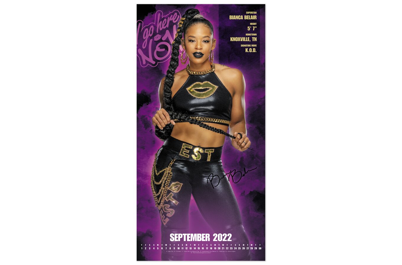 Wwe 2022 Calendar Women Of Wwe 2022 Monthly Wall Calendar, 12" X 12" | Wall Calendars | Mead