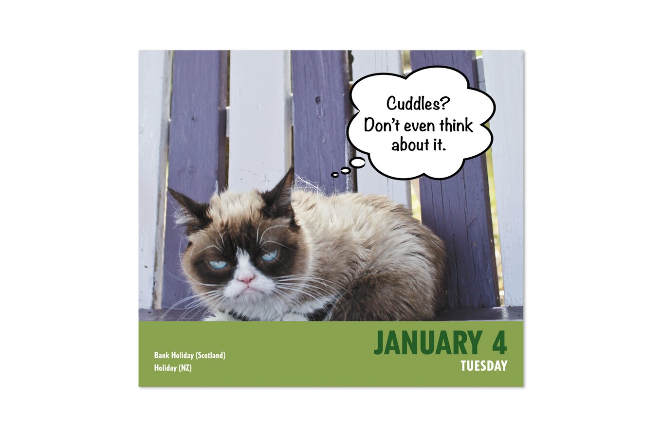 Grumpy Cat 2022 Year-In-A-Box Calendar | Wall Calendars | Mead