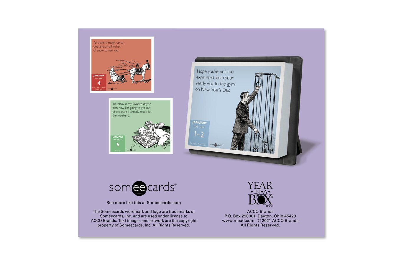 Someecards 2022 Year-In-A-Box Calendar | Wall Calendars | Mead