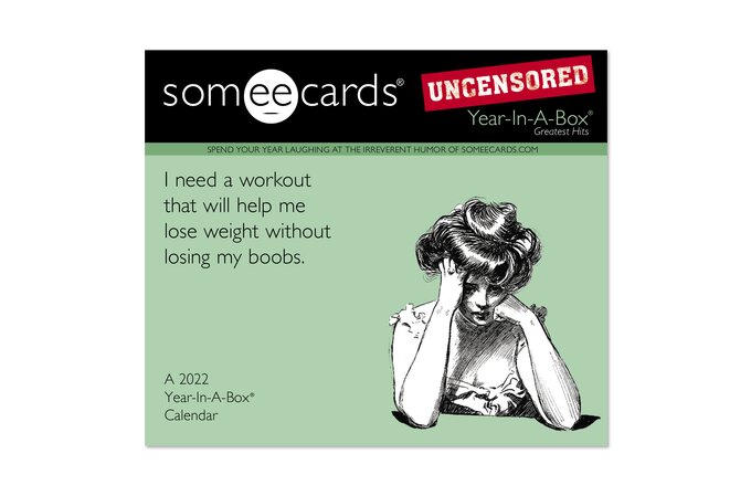 Someecards Uncensored 2022 Year-In-A-Box Calendar | Wall Calendars | Mead