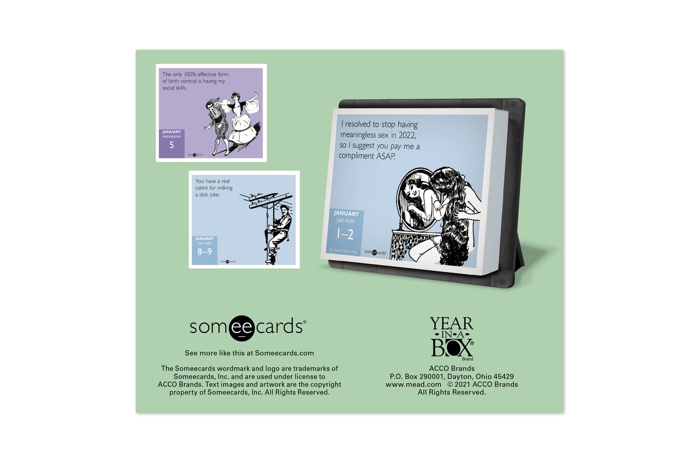 Someecards Uncensored 2022 Year-In-A-Box Calendar | Wall Calendars | Mead