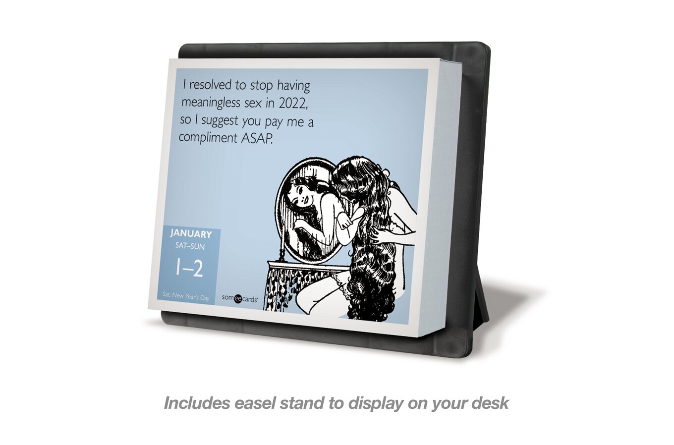 Someecards Uncensored 2022 Year-In-A-Box Calendar | Wall Calendars | Mead