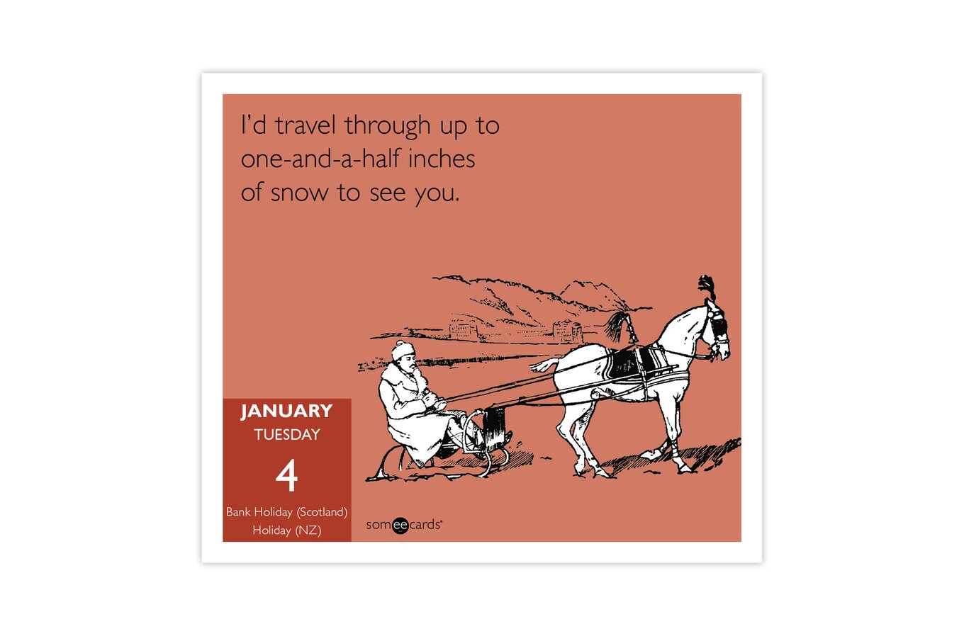 Someecards Uncensored 2022 Year-In-A-Box Calendar | Wall Calendars | Mead