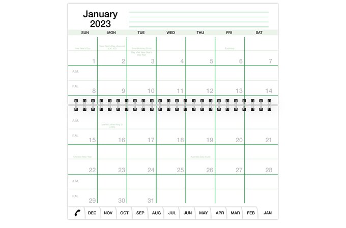 Foiled Pocket Rings Month on 2 Pages Deluxe Planner Calendar Refill, 3.2 x  4.7 | 81mm x 120mm, Sunday Start, Dated Monthly View, Choose 12 Months