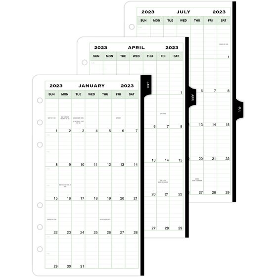 Day-Timer 2020 Monthly Planenr Refill Portable Size Two Page Per Month 13499 3-3/4 x 6-3/4 Loose Leaf Garden Path 