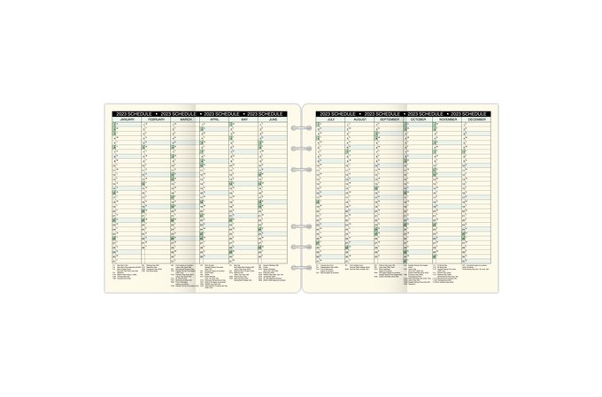 Day-Timer® Full Year Schedule Sheets, Loose-Leaf, Portable Size, 3 3/4