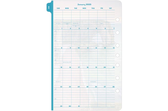 Day-Timer Two Page Per Day Reference Planner Refills, Loose-Leaf, Desk  Size, 5 1/2 x 8 1/2, Daily