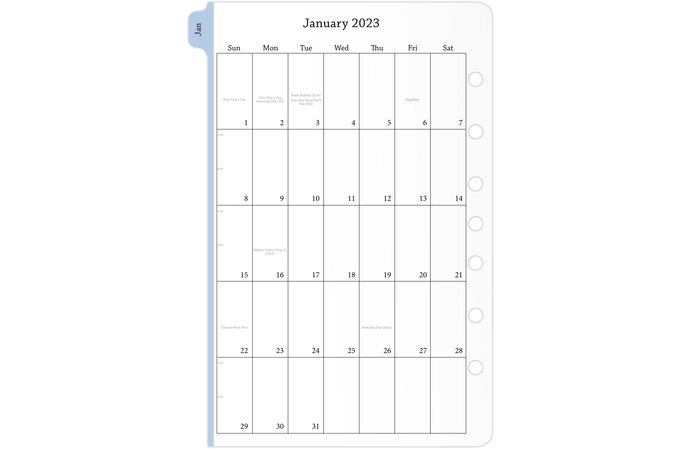 Day-Timer Two Page Per Day Reference Planner Refills, Loose-Leaf, Desk  Size, 5 1/2 x 8 1/2, Daily
