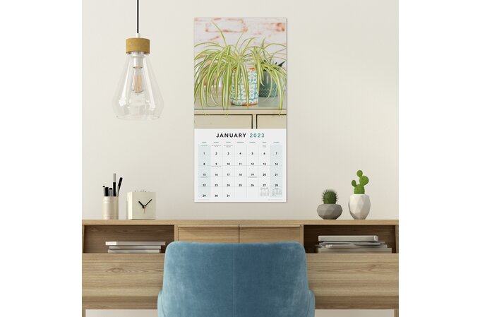 house-plants-2023-monthly-wall-calendar-12-x-12-wall-calendars-mead