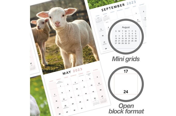 Farm Animals 2023 Monthly Wall Calendar, 12" x 12" | Wall Calendars | Mead