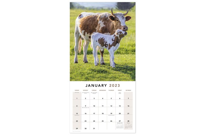 Farm Animals 2023 Monthly Wall Calendar, 12