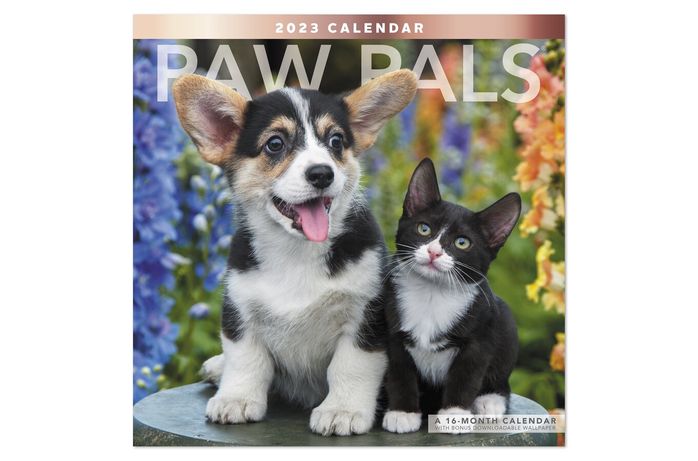 Paw Pals 2023 Monthly Wall Calendar, 12